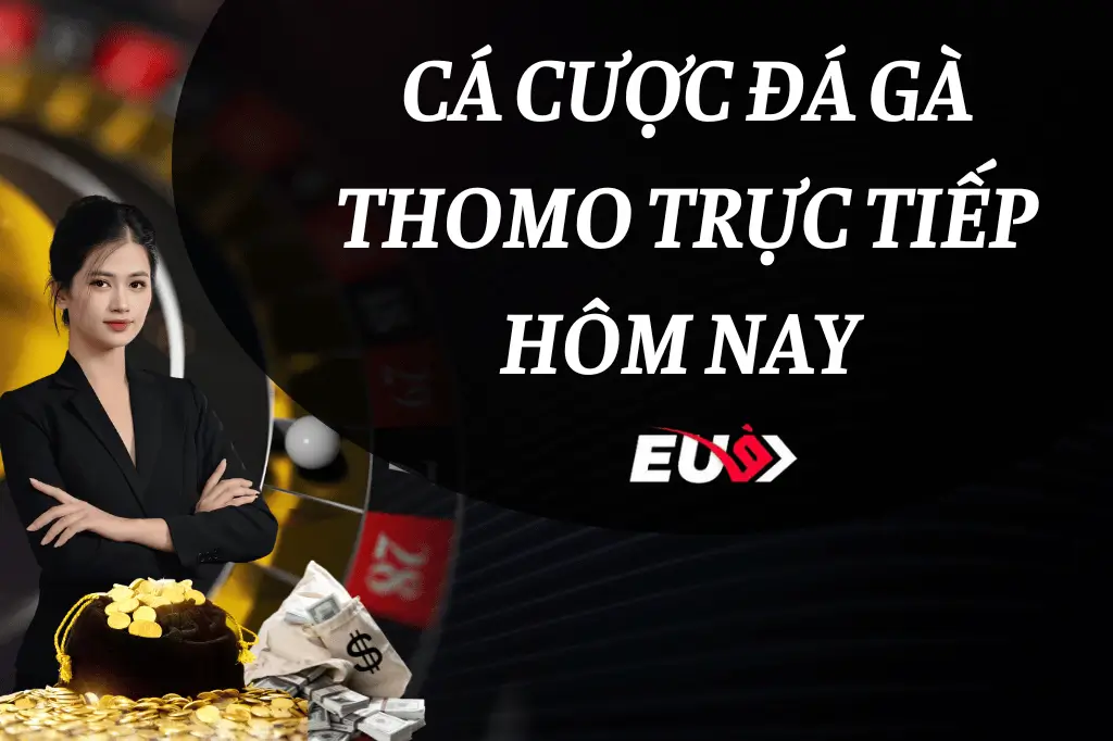 Đá gà thomo tại EU9 có gì đặt biệt